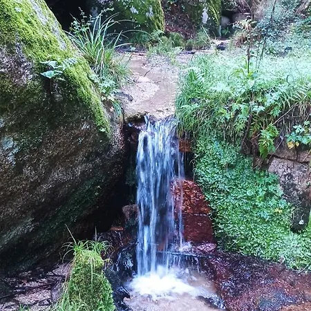 Meladormo Couette-café