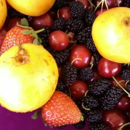 Couette-café Meladormo