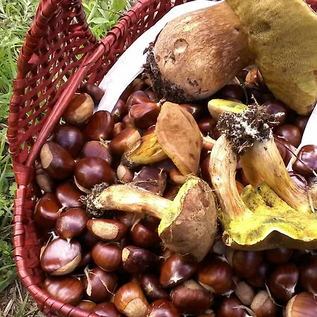 Couette-café Meladormo Tempio Pausania