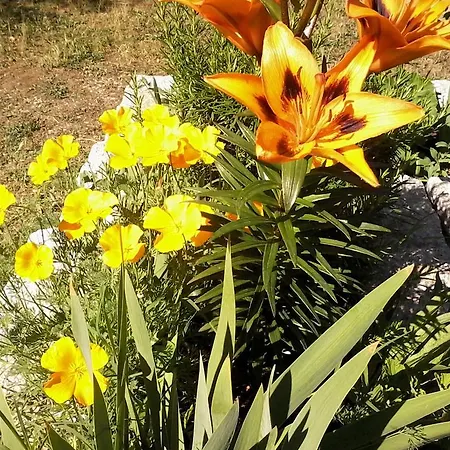 Meladormo Couette-café 4*