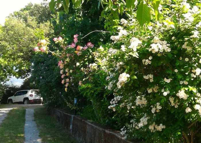 Meladormo Panzió 4*