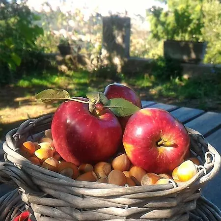 Bed & Breakfast Meladormo Tempio Pausania