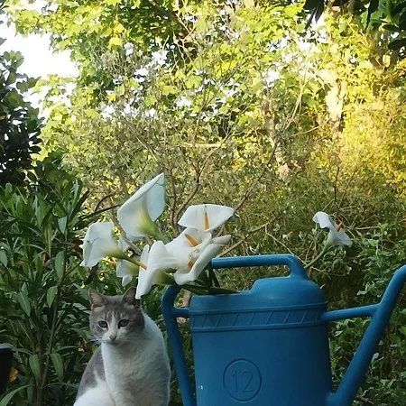 Meladormo Bed & Breakfast Tempio Pausania