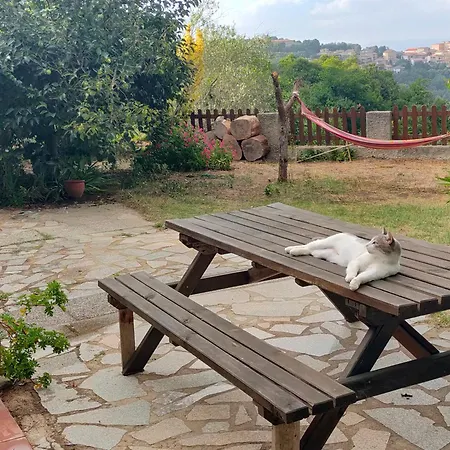 Alojamento de Acomodação e Pequeno-almoço Meladormo 4*