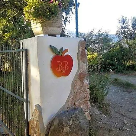 Meladormo Tempio Pausania