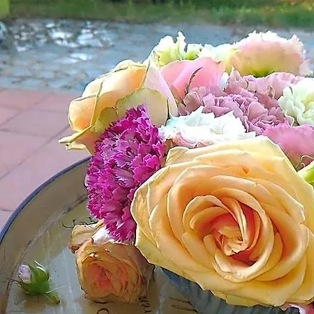 فندق مبيت وإفطار Meladormo تيمبيو باوسانيا