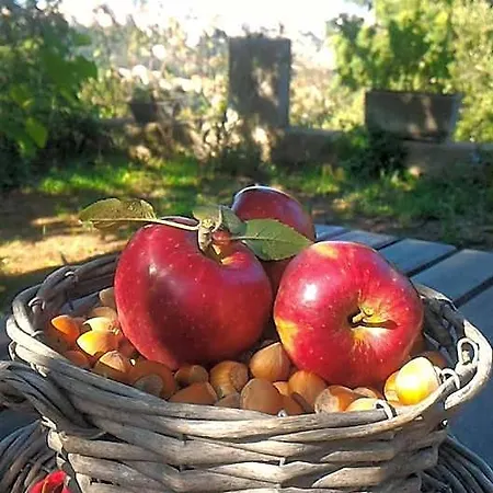 Meladormo فندق مبيت وإفطار 4*