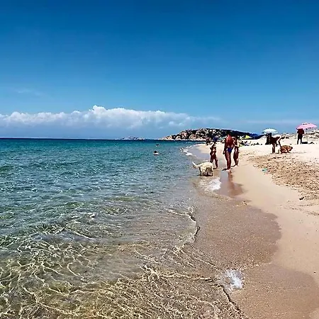 Meladormo