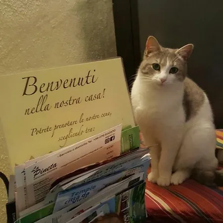 Meladormo Bed & Breakfast Tempio Pausania