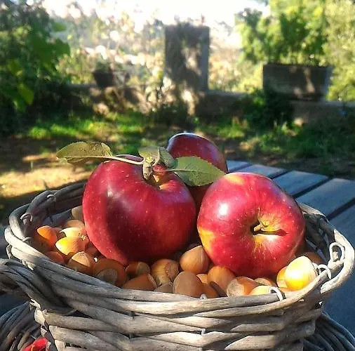 Alojamento de Acomodação e Pequeno-almoço Meladormo Tempio Pausania