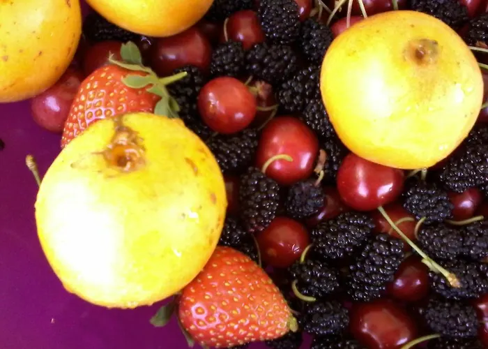 Alojamento de Acomodação e Pequeno-almoço Meladormo