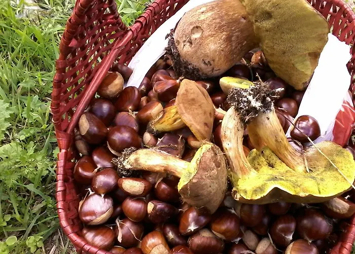 Alojamento de Acomodação e Pequeno-almoço Meladormo Tempio Pausania