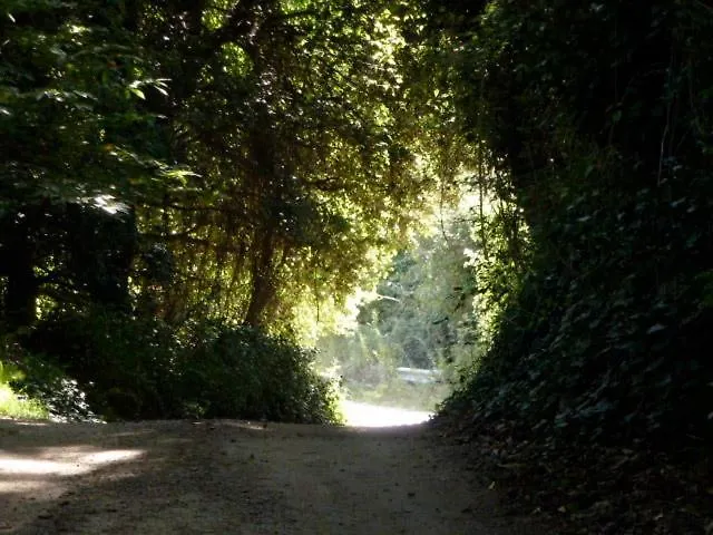 Meladormo 4* Tempio Pausania